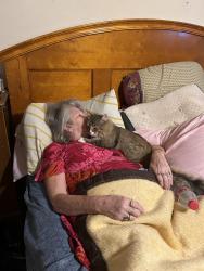 Lost Male Cat last seen Goble st   Burchfield, Gastonia, NC 28056