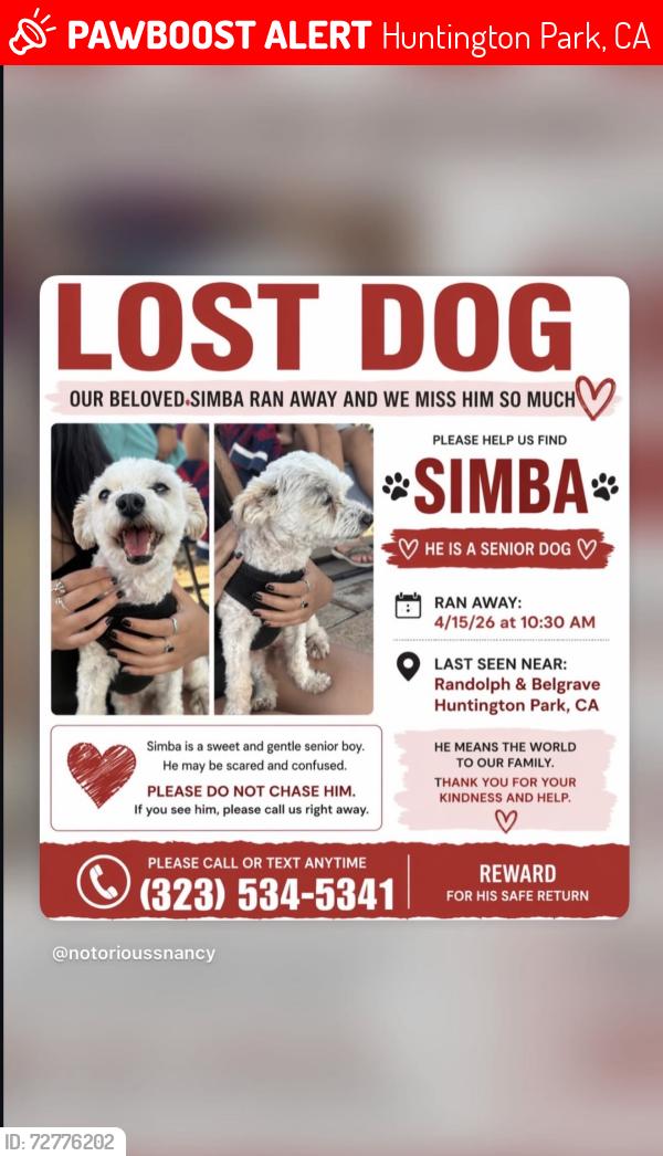 Lost Male Dog last seen stafford , Huntington Park, CA 90255