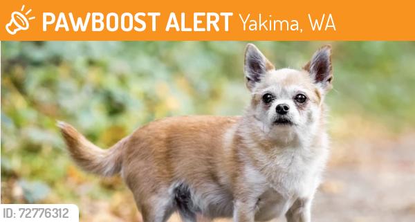 Found/Stray Unknown Dog last seen Kissel Park, Yakima, WA 98902