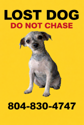 Lost Female Dog last seen Salem Church Rd. & Lickberry Ridge Dr., Chesterfield County, VA 23237