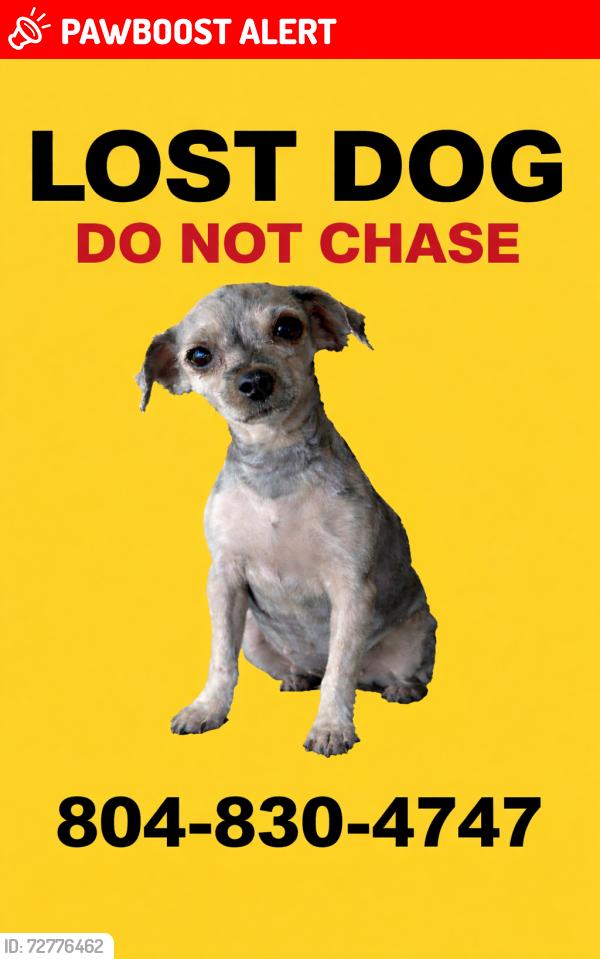 Lost Female Dog last seen Salem Church Rd. & Lickberry Ridge Dr., Chesterfield County, VA 23237