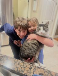 Lost Male Cat last seen Camden Ridge, 1827 Parsons Cir, Auburn, AL , Auburn, AL 36830