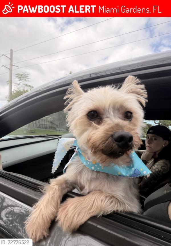 Lost Male Dog last seen Near nw 184st th, Miami Gardens, FL 33056