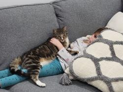 Lost Male Cat last seen Columbia Rd and meridian rd , Meridian, ID 83642