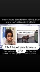 Lost Male Dog last seen Near and Montevista , Los Angeles, CA 90042