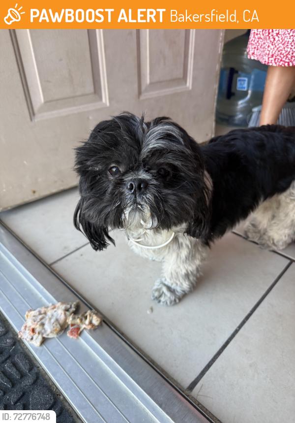 Found/Stray Unknown Dog last seen Dovewood st , Bakersfield, CA 93313