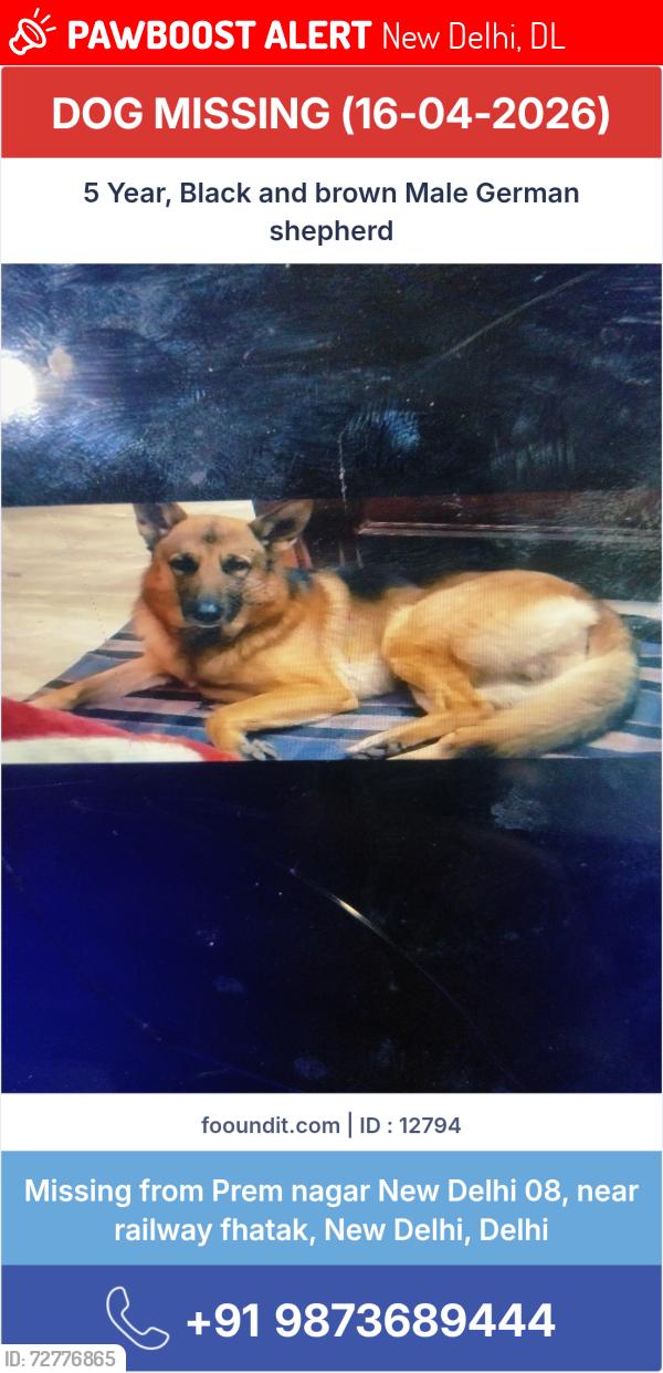 Lost Male Dog last seen Prem nagar new delhi 08 near railway station , New Delhi, DL 110003