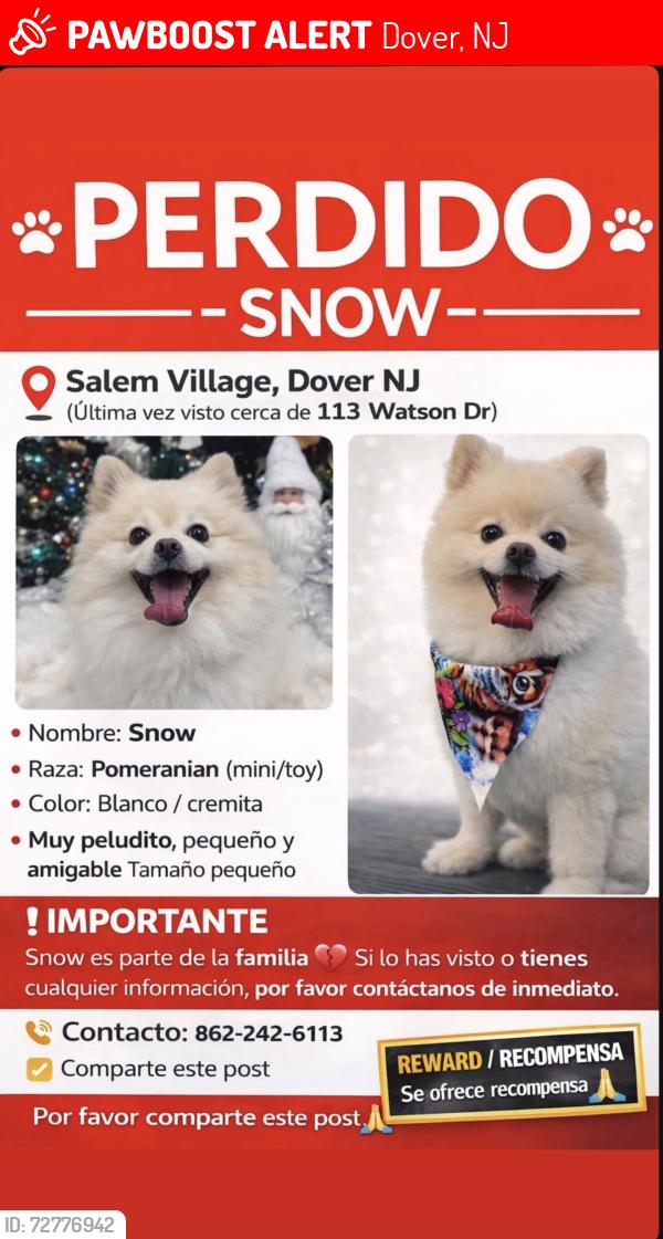 Lost Male Dog last seen Near watson dr, Dover, NJ 07801