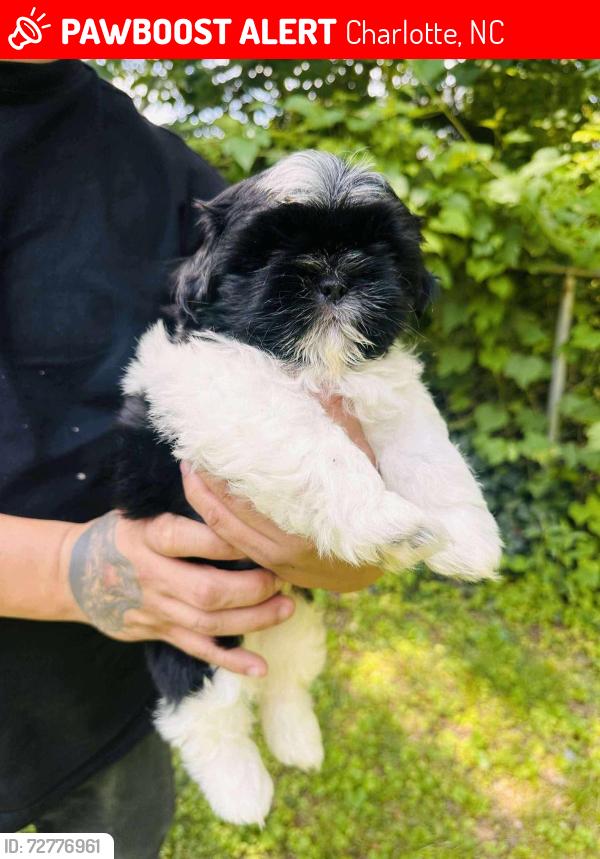 Lost Male Dog last seen Harris boulevard, Charlotte, NC 28227