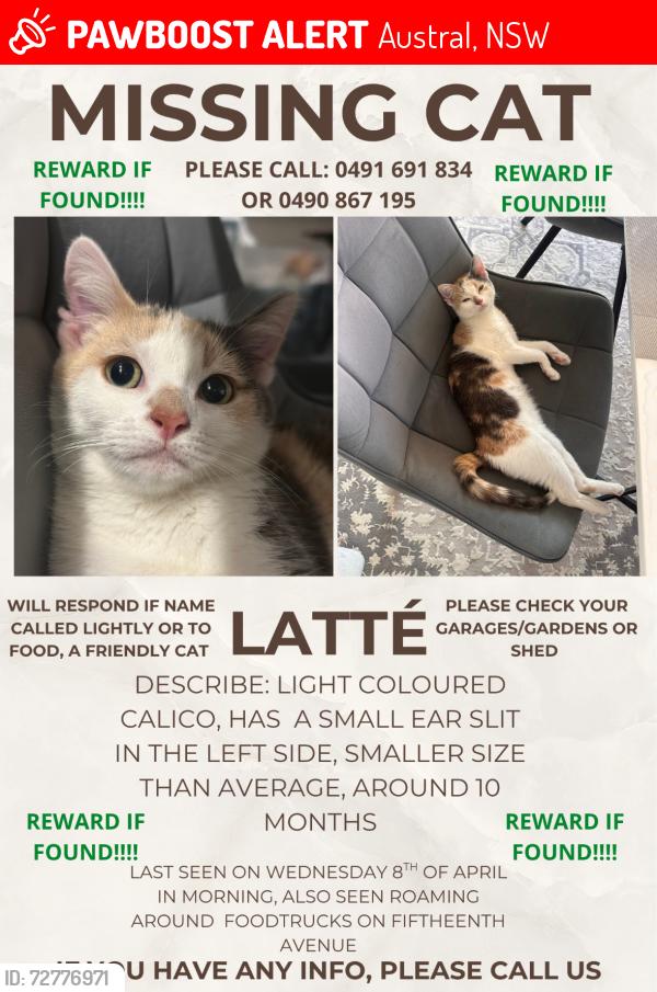 Lost Female Cat last seen Foodtrucks on fifteenth Avenue 2179, Austral, NSW 2179