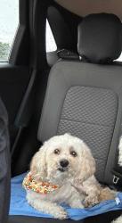 Lost Male Dog last seen Rufus King High School, Milwaukee, WI 53209