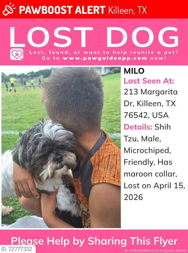 Lost Male Dog last seen Near margarita Dr, Killeen, TX 76542