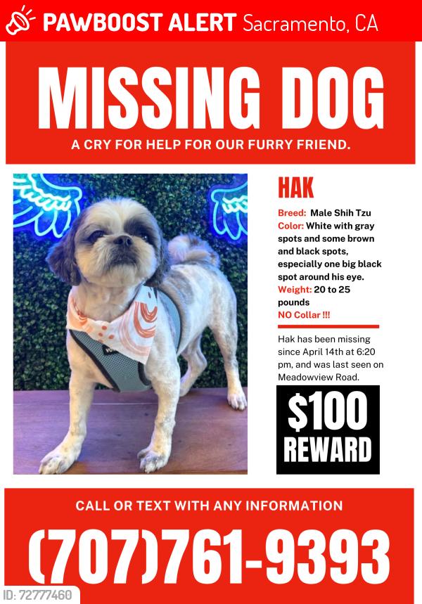 Lost Male Dog last seen Laurie way and meadowview road , Sacramento, CA 95832