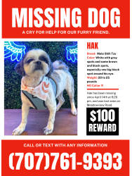 Lost Male Dog last seen Laurie way and meadowview road , Sacramento, CA 95832