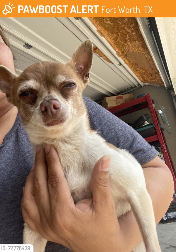 Found/Stray Male Dog last seen Martin st& shackeford, Fort Worth, TX 76119