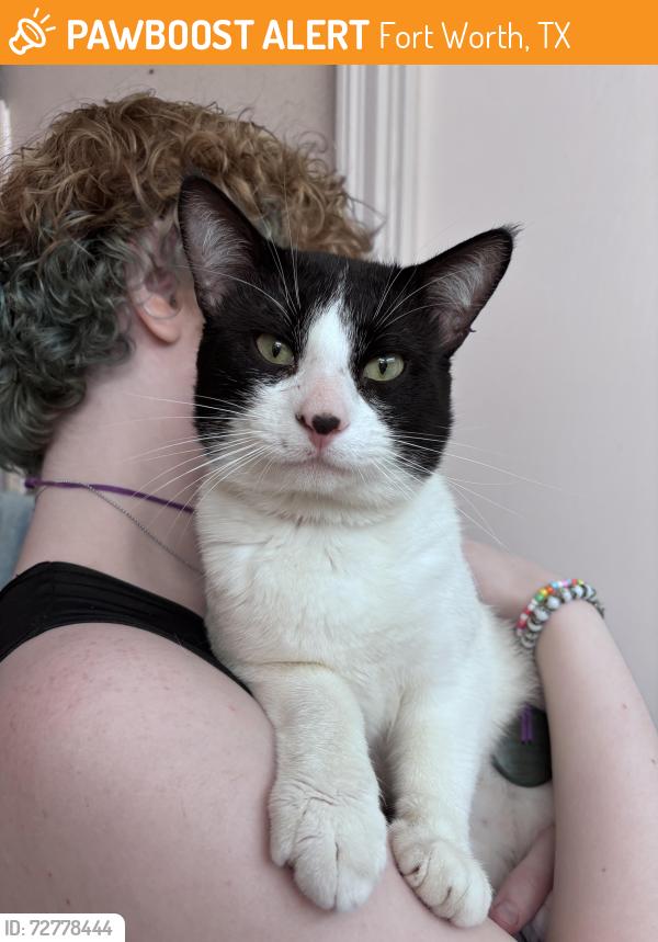 Found/Stray Male Cat last seen Woodway and Wren, Fort Worth, TX 76133