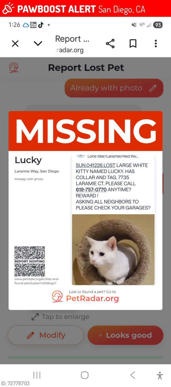 Lost Male Cat last seen Laramie Way, San Diego, CA 92120