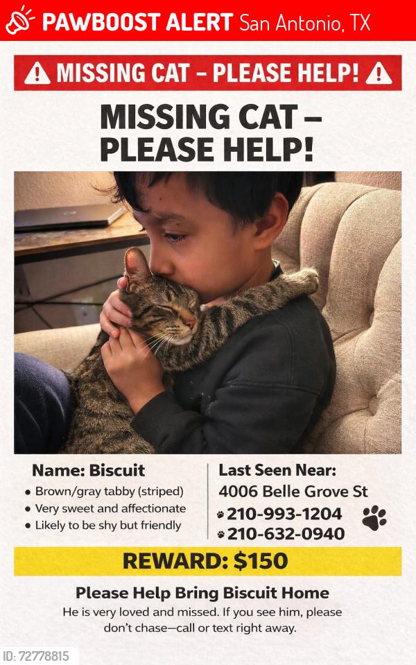Lost Male Cat last seen Across Howsman Elementary , San Antonio, TX 78230