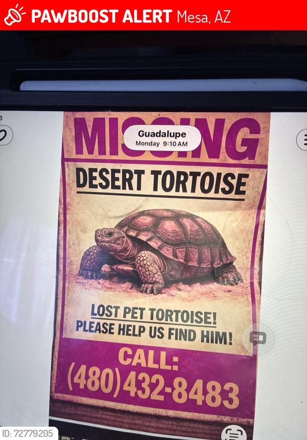 Lost Unknown Other last seen Stapley and Broadway , Mesa, AZ 85204