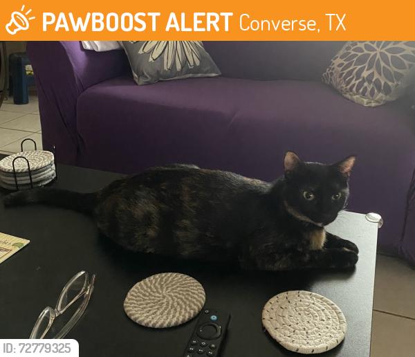 Found/Stray Unknown Cat last seen Coers Blvd and FM 78, Converse, TX 78109