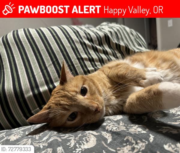 Lost Male Cat last seen SE 169th Ave by Fred Myers , Happy Valley, OR 97015