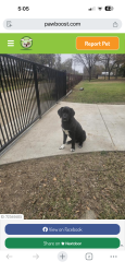 Found/Stray Male Dog last seen Aspen Trail, Big Sandy, Big Sandy, TX 75755