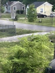 Found/Stray Unknown Dog last seen Peggy street Madison tn, Nashville, TN 37115