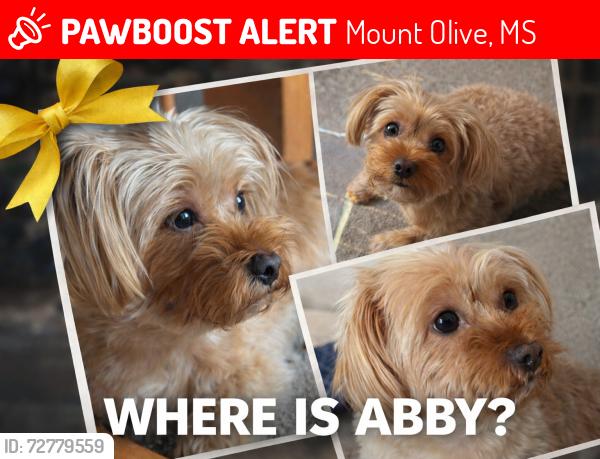 Lost Female Dog last seen Highway 532 near Highway 35, Mount Olive, MS 39119