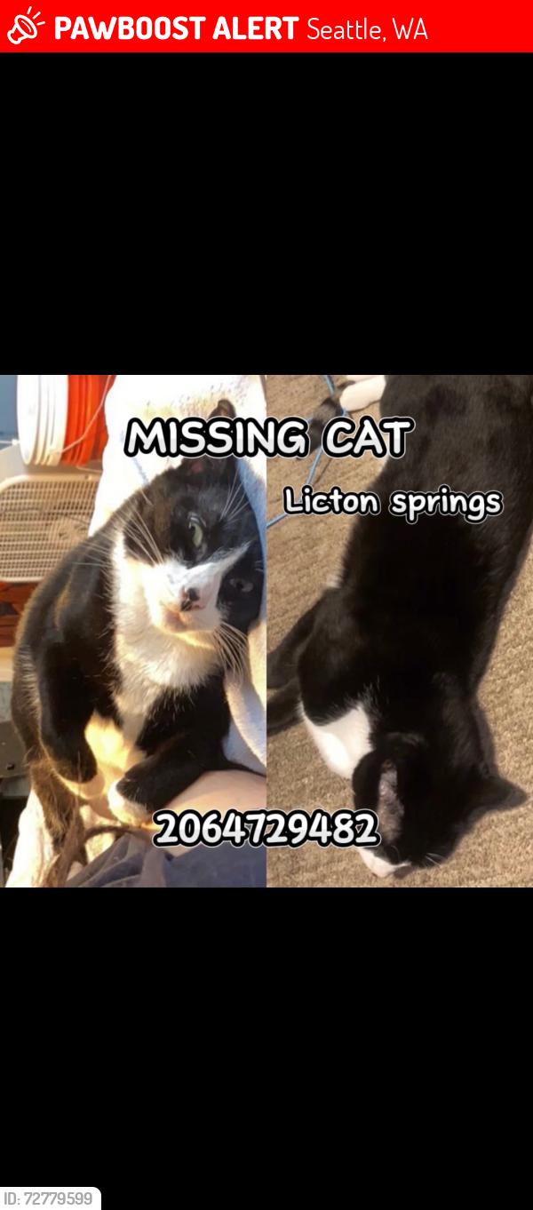 Lost Unknown Cat last seen Densmore ave E, Seattle, WA 98103