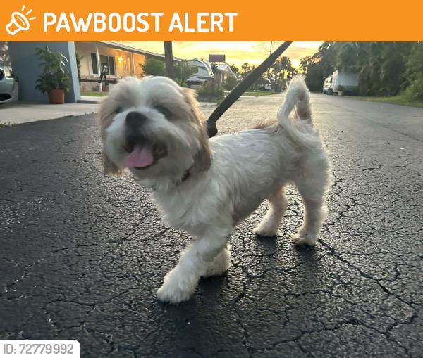 Found/Stray Male Dog last seen Betmar , North Fort Myers, FL 33903