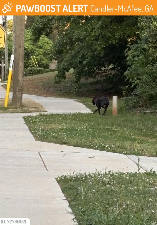 Found/Stray Female Dog last seen Normal rd, Candler-McAfee, GA 30032