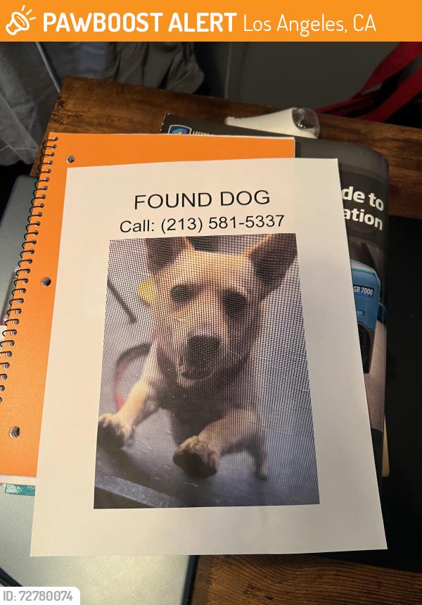 Found/Stray Male Dog last seen Lorena , Los Angeles, CA 90023