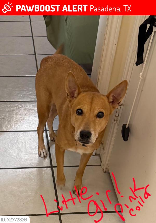 Lost Female Other last seen Preston and beltway 8, Pasadena, TX 77503