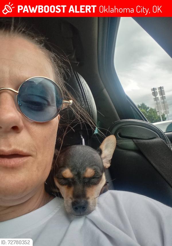 Lost Male Dog last seen South Penn & sw 66, Oklahoma City, OK 73159