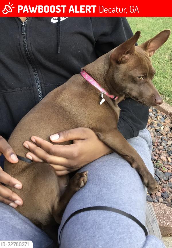 Lost Female Dog last seen Wesley Chapel Road, Decatur, GA 30034