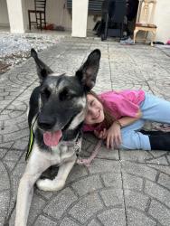 Lost Female Dog last seen Near Fairfax ave , Palm Bay, FL 32905