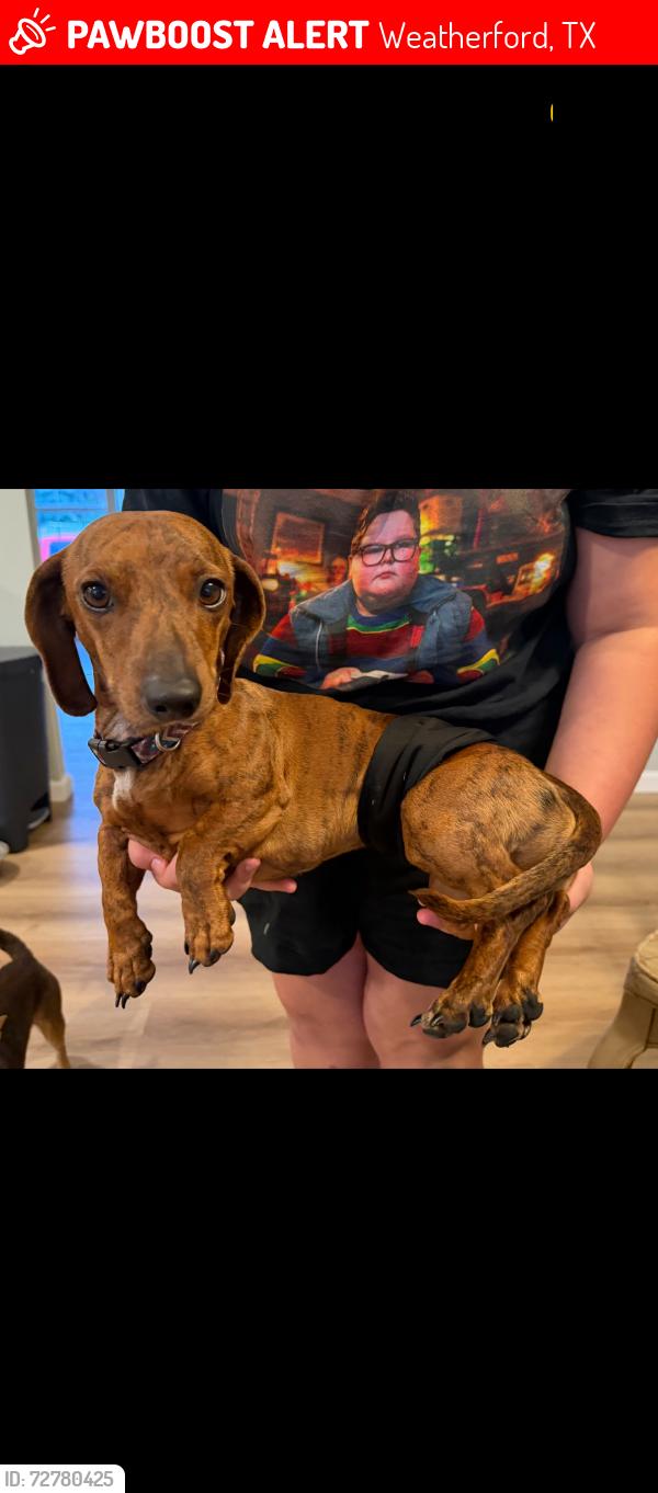 Lost Male Dog last seen Loves travel stop, Weatherford, TX 76087