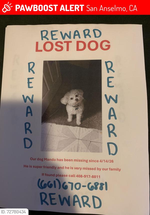 Lost Male Dog last seen Near Foss avenue, San Anselmo, CA 94960