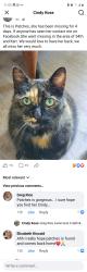 Lost Female Cat last seen 54th Ave. and Kerr Street, Vancouver, BC V5S 1Y5