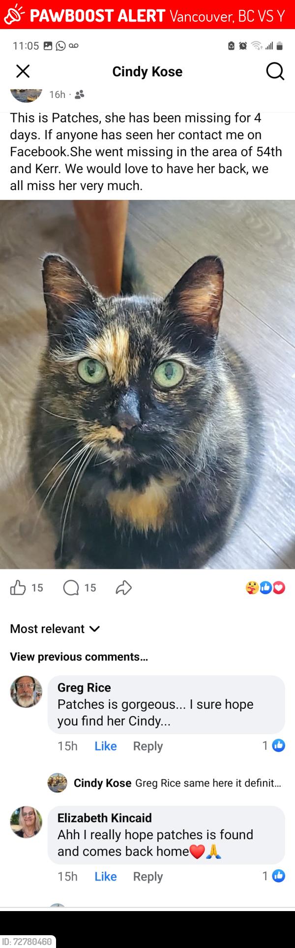Lost Female Cat last seen 54th Ave. and Kerr Street, Vancouver, BC V5S 1Y5