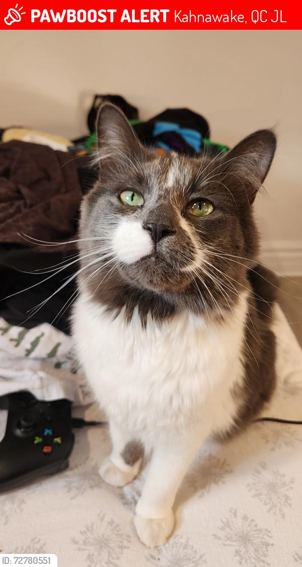 Lost Female Cat last seen Bayview, Kahnawake, QC J0L