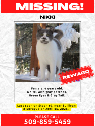 Lost Female Cat last seen Sullivan and Sprague. Last seen steen rd in crystal ridge neighborhood, Spokane Valley, WA 99037
