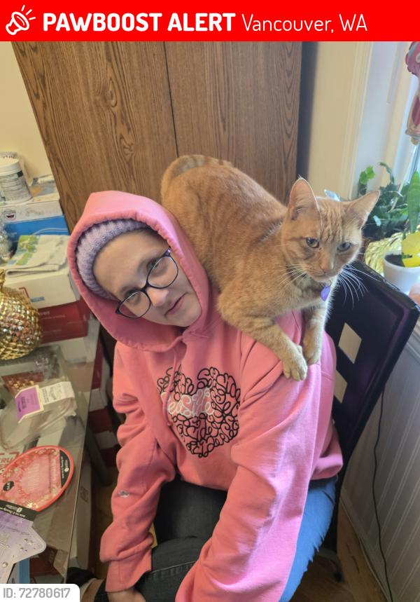 Lost Female Cat last seen 104th & Ellsworth, Vancouver, WA 98664