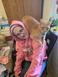 Lost Female Cat last seen 104th & Ellsworth, Vancouver, WA 98664