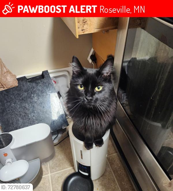 Lost Female Cat last seen Dellwood, Roseville, MN 55113