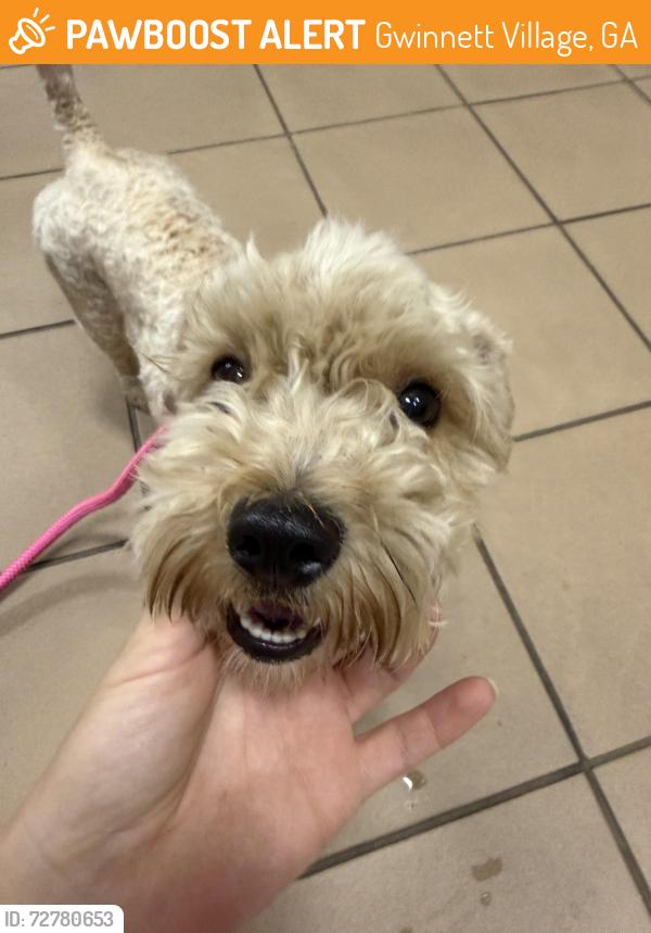 Found/Stray Female Dog last seen Rufus Place, Gwinnett Village, GA 30340