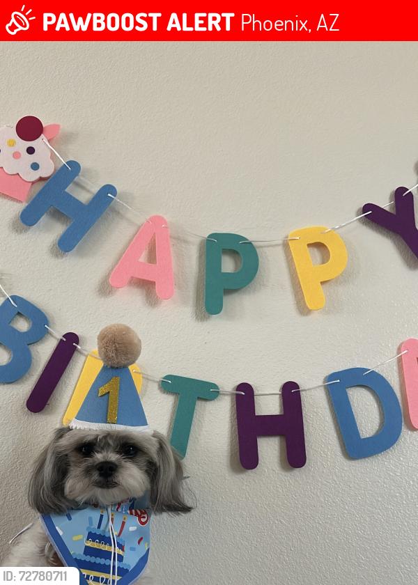 Lost Male Dog last seen South Mountain and S 7th st , Phoenix, AZ 85042