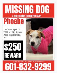 Lost Female Dog last seen Tom Leggett road, Seminary, MS 39479