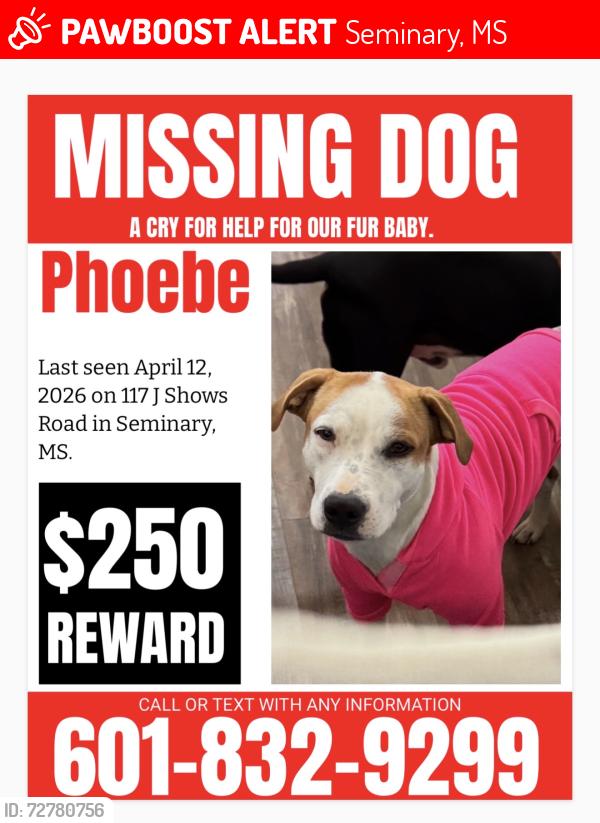 Lost Female Dog last seen Tom Leggett road, Seminary, MS 39479
