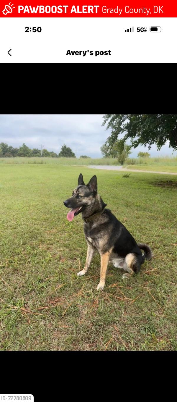 Lost Male Dog last seen County line and 1250/70th/Sandrock rd , Grady County, OK 73010